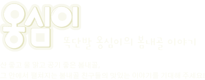 옹심이 똑단발 옹심이의 봄내골 이야기